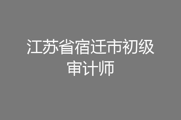 江苏省宿迁市初级审计师