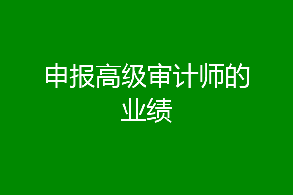申报高级审计师的业绩