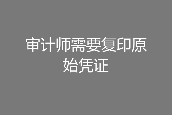 审计师需要复印原始凭证