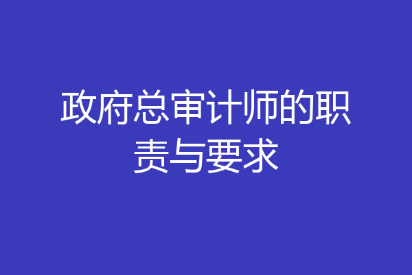 政府总审计师的职责与要求