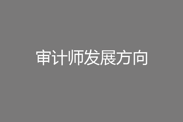 审计师发展方向