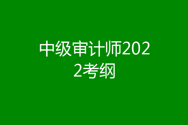 中级审计师2022考纲