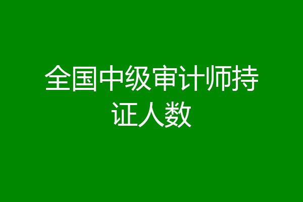 全国中级审计师持证人数