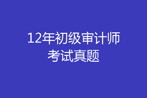 12年初级审计师考试真题