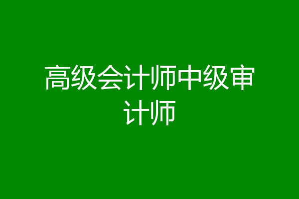 高级会计师中级审计师