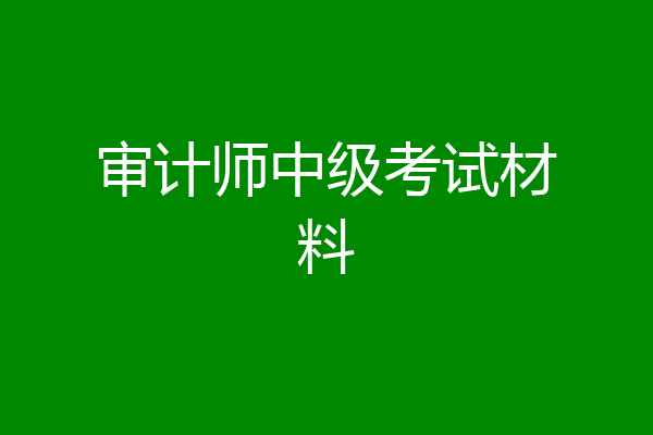 审计师中级考试材料