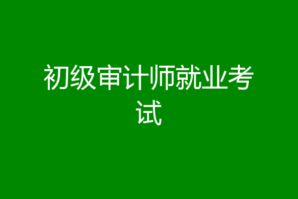 初级审计师就业考试
