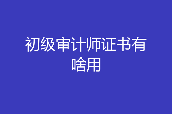 初级审计师证书有啥用