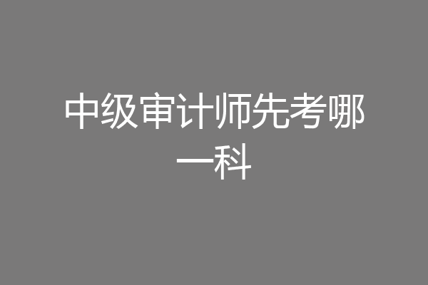 中级审计师先考哪一科