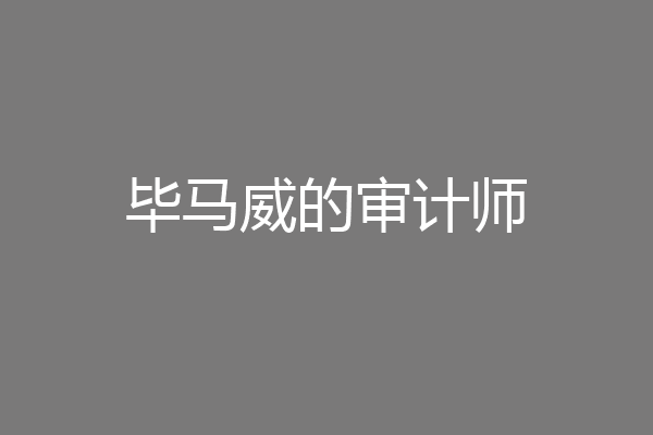 毕马威的审计师