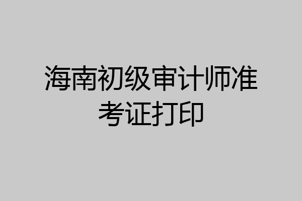 海南初级审计师准考证打印