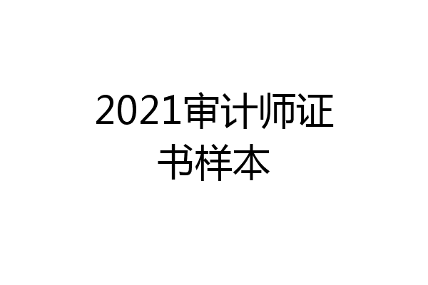 2021审计师证书样本