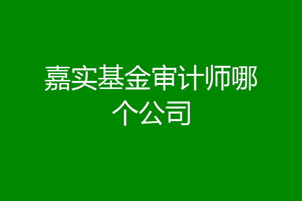 嘉实基金审计师哪个公司