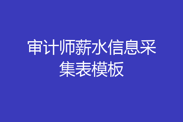 审计师薪水信息采集表模板
