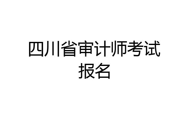 四川省审计师考试报名