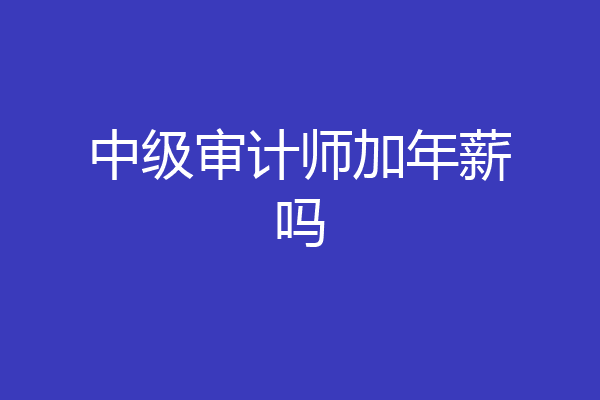 中级审计师加年薪吗