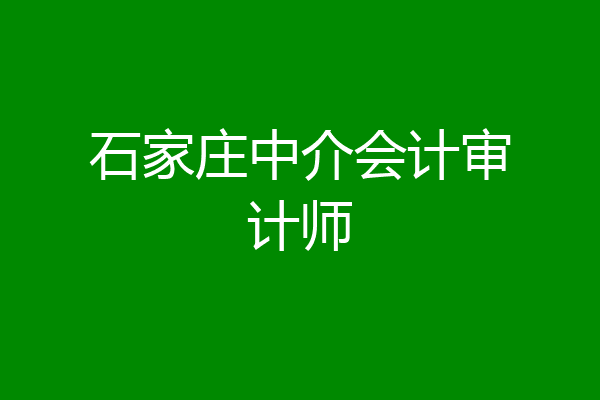 石家庄中介会计审计师