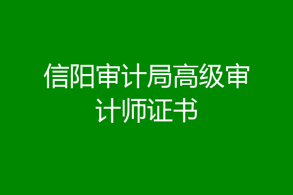 信阳审计局高级审计师证书