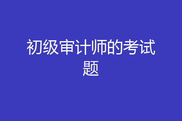 初级审计师的考试题