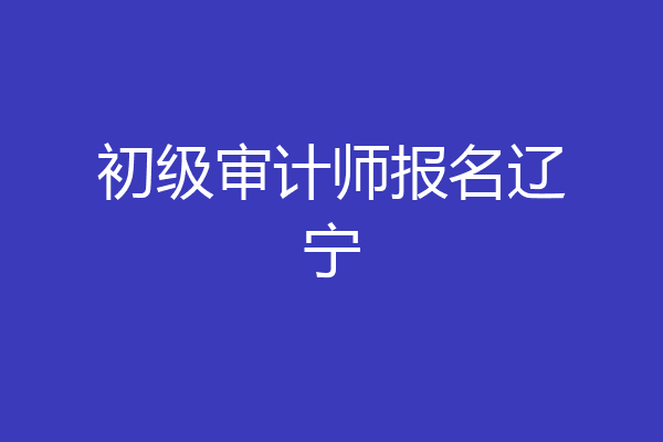 初级审计师报名辽宁