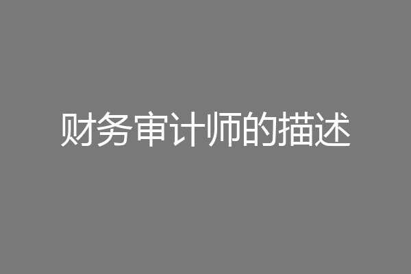 财务审计师的描述