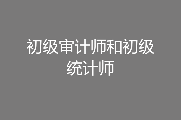 初级审计师和初级统计师