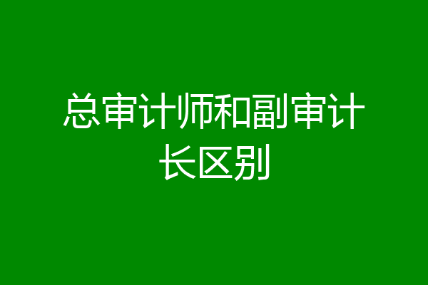 总审计师和副审计长区别