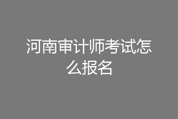 河南审计师考试怎么报名