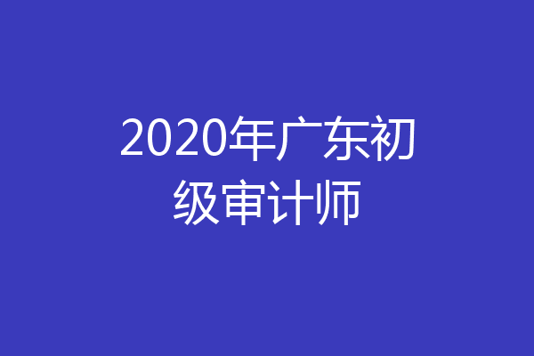 2020年广东初级审计师