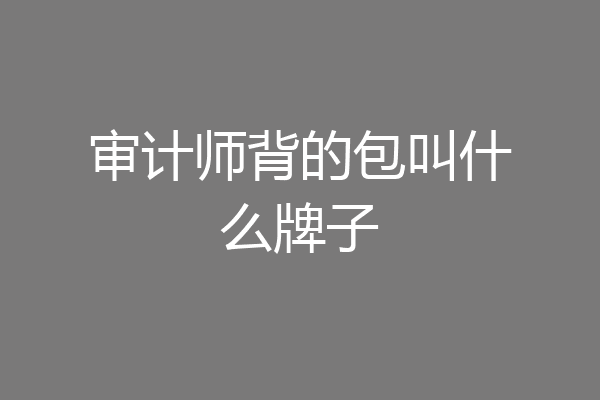 审计师背的包叫什么牌子