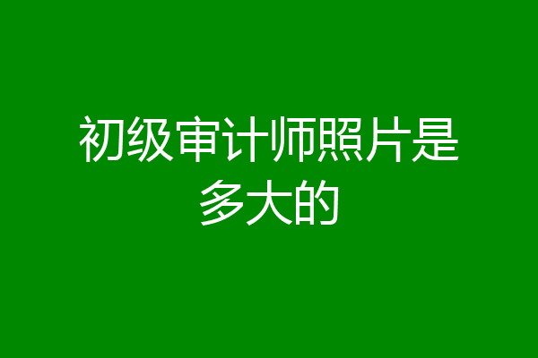 初级审计师照片是多大的