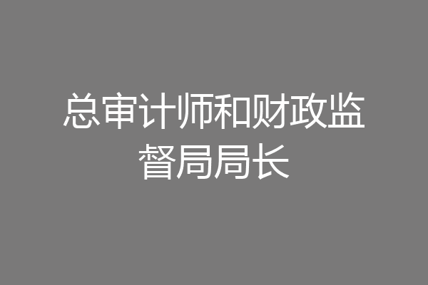 总审计师和财政监督局局长