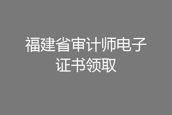福建省审计师电子证书领取