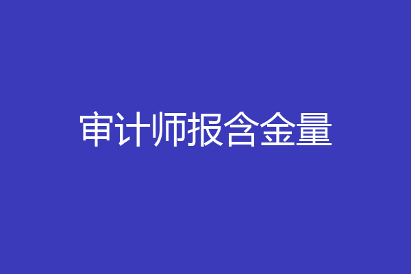 审计师报含金量