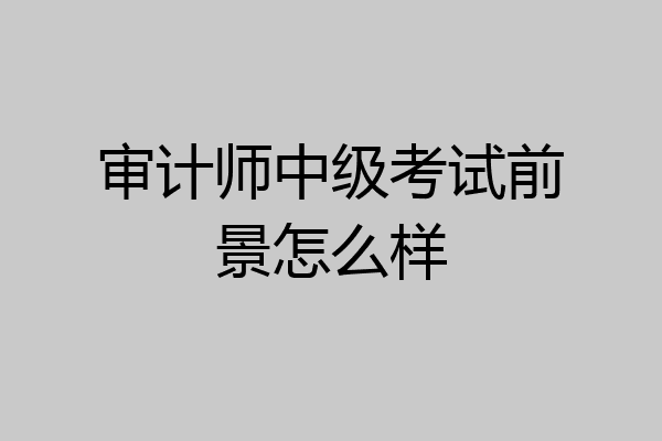 审计师中级考试前景怎么样
