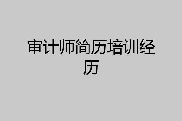 审计师简历培训经历