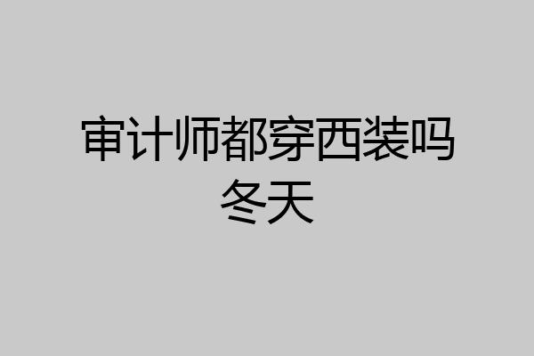 审计师都穿西装吗冬天