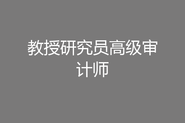 教授研究员高级审计师