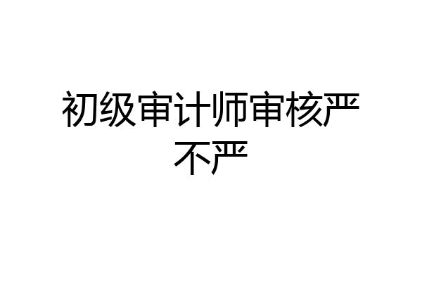 初级审计师审核严不严