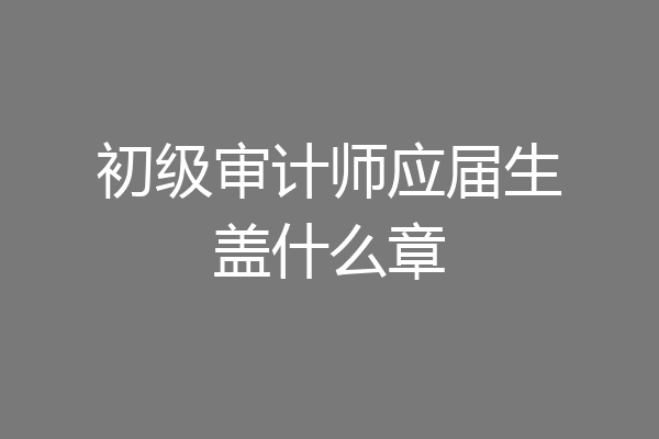 初级审计师应届生盖什么章