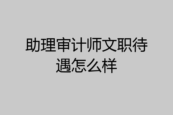 助理审计师文职待遇怎么样