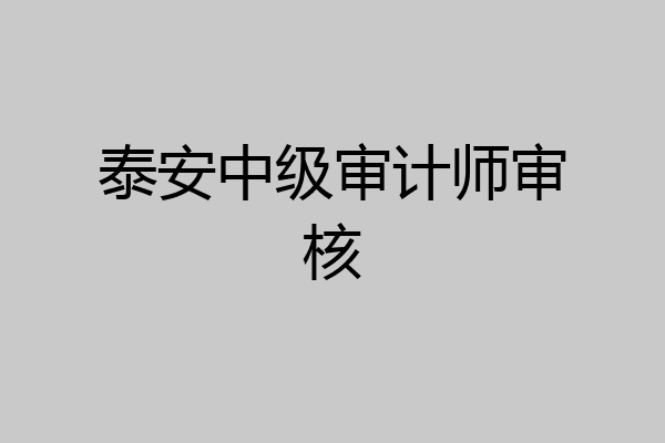 泰安中级审计师审核