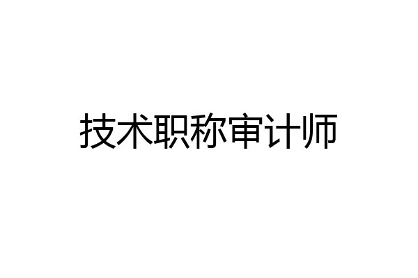 技术职称审计师