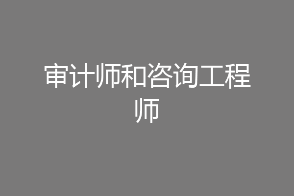 审计师和咨询工程师