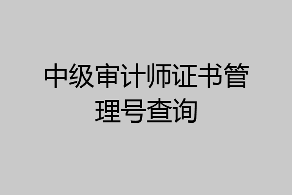 中级审计师证书管理号查询