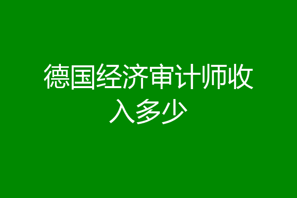 德国经济审计师收入多少