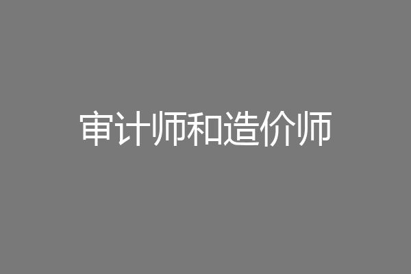 审计师和造价师