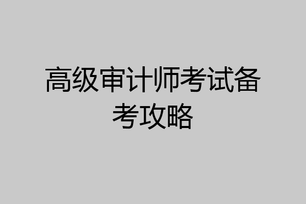 高级审计师考试备考攻略