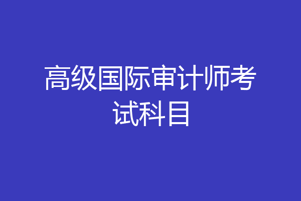 高级国际审计师考试科目