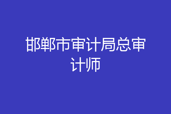 邯郸市审计局总审计师